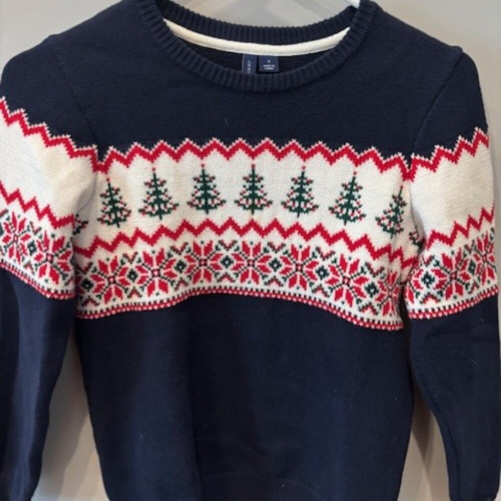 Janie and Jack Fair Isle Sweater - Size 8